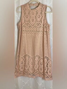 Love Fire Blush Lace Dress | Sleeveless Boho Shift | Size Large 🌸